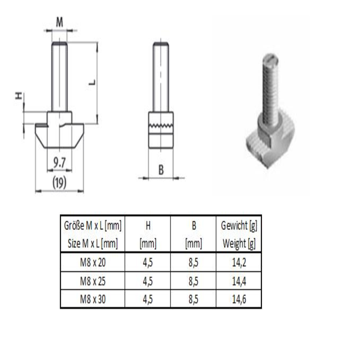 Hammer Head Screw B Type slot 10 [M8x20]